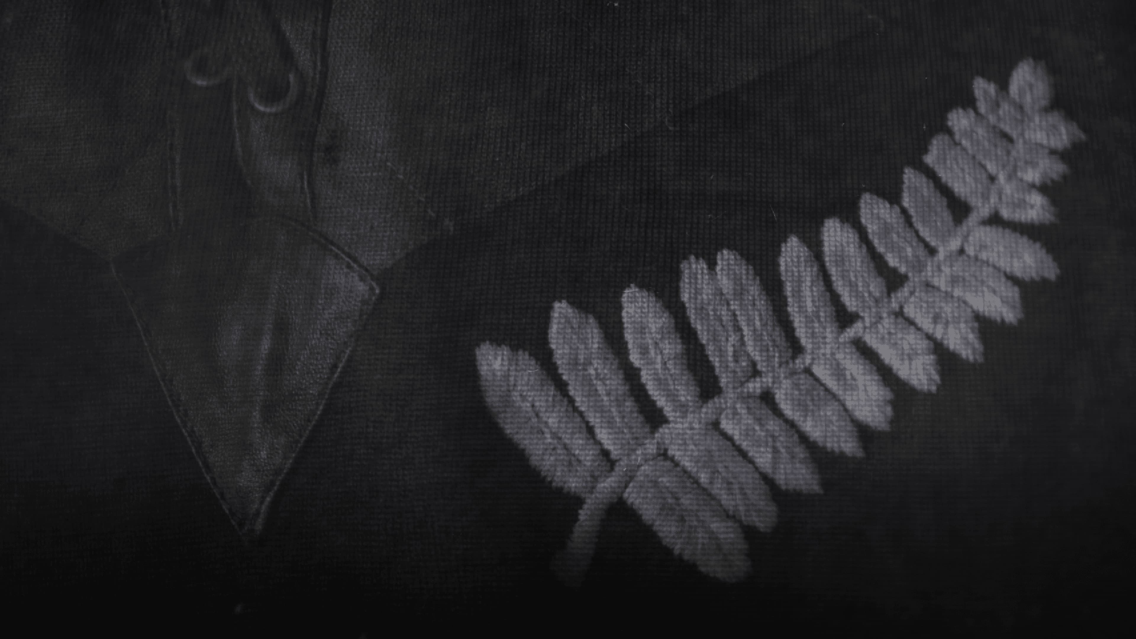 All Blacks at War