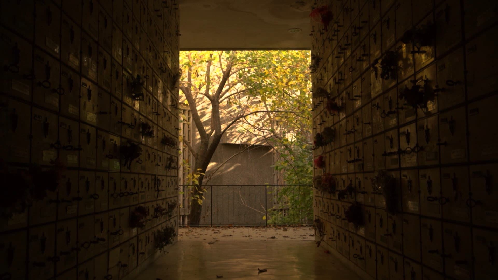 Sanctuary