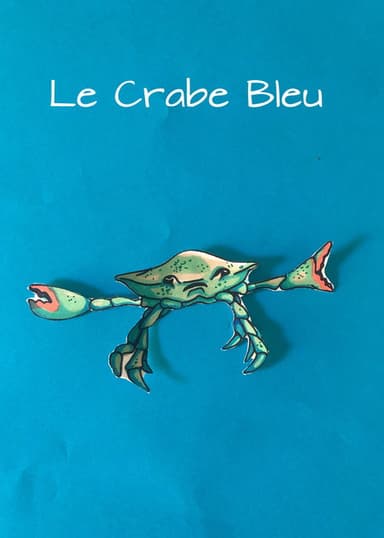 Blue Crab