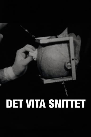 Det vita snittet