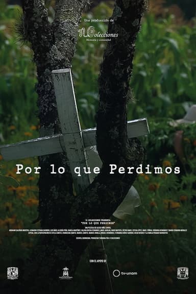 Por lo que Perdimos