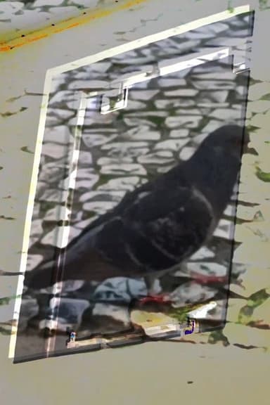 não tenho dormido muito mas continuo sonhando a cada piscada
