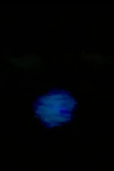 FUCK MERZBOW