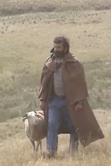 Shepherd and beyond