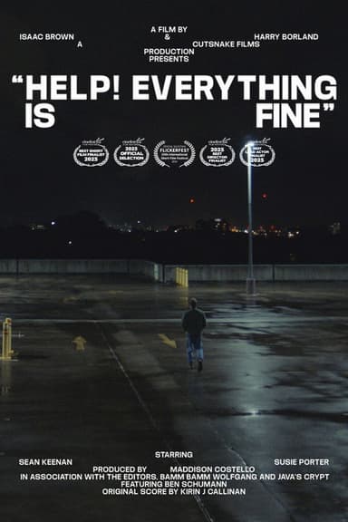 Help! Everything is Fine