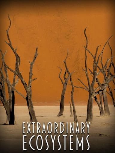 Extraordinary Ecosystems