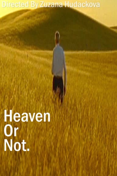 Heaven Or Not