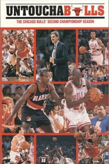 Untouchabulls - The Chicago Bulls' Second Championship Season