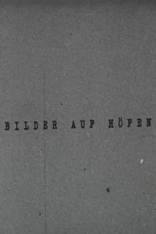 Bilder auf Höfen