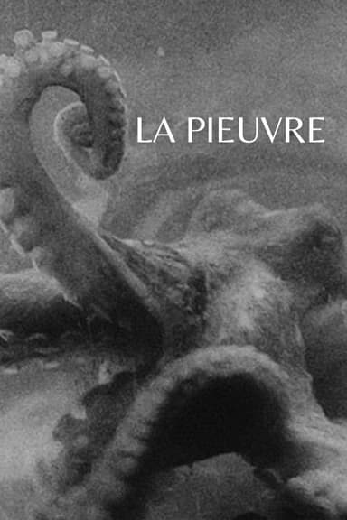 The Octopus