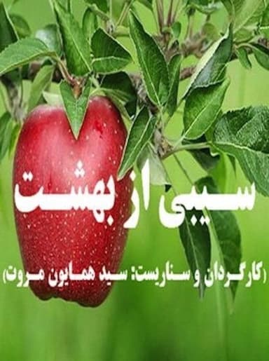An Apple from Paradise