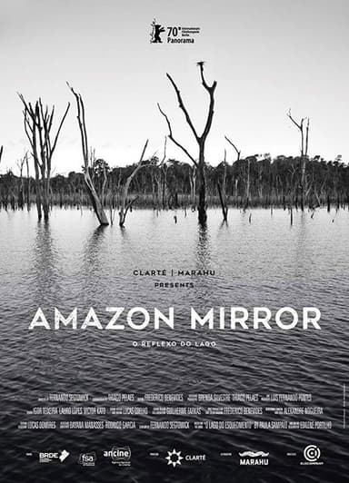 Amazon Mirror