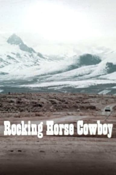 Rocking Horse Cowboy